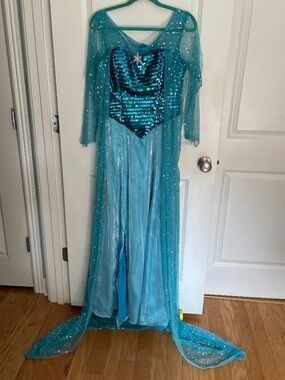 Elsa costume gown